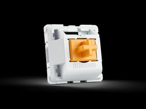 Glorious Panda Mechanical Keyboard Switches (36pcs) LUBED | UNLUBED - Zapcart Technology Qatar