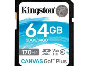 KINGSTON Canvas Go! Plus SD Memory Card SDG3 - Zapcart Technology Qatar