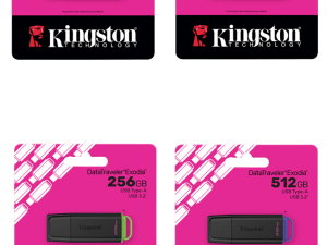 Kingston Portable USB 3.2 Gen 1 DataTraveler Exodia Flash Drive - Zapcart Technology Qatar