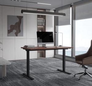 Loctek ET262-120 HEIGHT ADJUSTABLE STANDING DESK (120cm) - Zapcart Technology Qatar