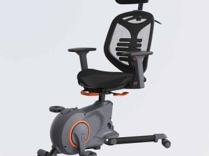Loctek F216DBU Ergonomic Fitness Chair - Zapcart Technology Qatar