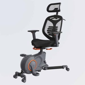 Loctek F216DBU Ergonomic Fitness Chair - Zapcart Technology Qatar