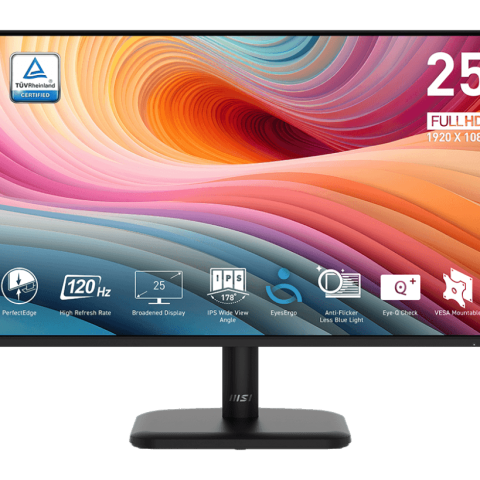 MSI PRO MP251L E2 24.5" 120Hz FHD Business Productivity Monitor - Zapcart Technology Qatar