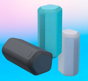 Sony SRS-XE300 X-Series Portable Wireless Speaker - Zapcart Technology Qatar