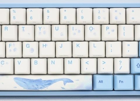 Varmilo Miya Pro Sea Melody Wireless Mechanical Keyboard - Cherry MX Blue - Zapcart Technology Qatar